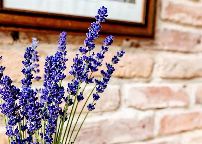 Ve416-vejers-strand-radyrvej-3 Feriehus *